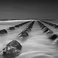Buy canvas prints of The Groynes by Ray Tickle