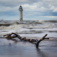 Buy canvas prints of Perch Rock  dritwood by Ray Tickle