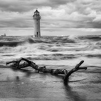Buy canvas prints of Perch Rock Mono by Ray Tickle