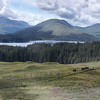 Buy canvas prints of Loch Tulla  by Ray Tickle