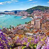 Buy canvas prints of Split waterfront and Marjan hill colorful flower view by Dalibor Brlek