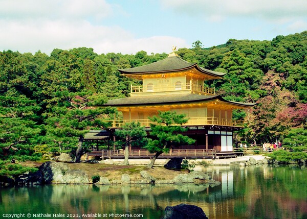 Temple of the Golden Pavilion, Kyoto Japan Picture Board by Nathalie Hales