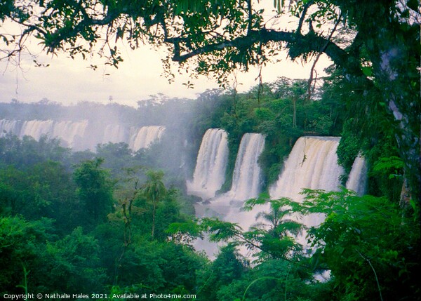 Iguazu Falls Brazil Picture Board by Nathalie Hales