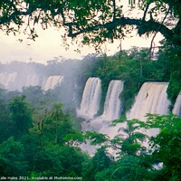 Buy canvas prints of Iguazu Falls Brazil by Nathalie Hales