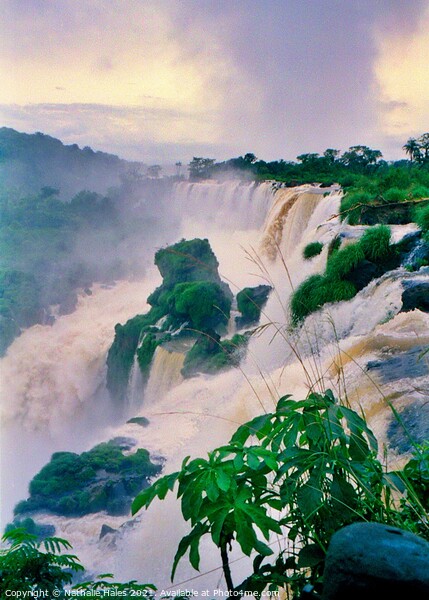 The power of the Iguazu Falls, Brazil Picture Board by Nathalie Hales