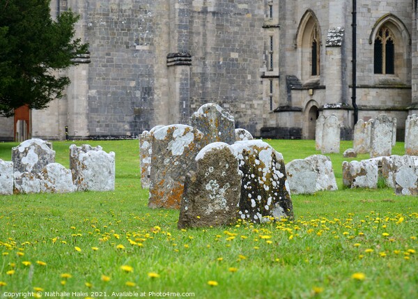 Gravestones at Christchurch Priory Picture Board by Nathalie Hales