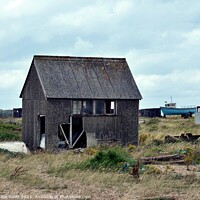 Buy canvas prints of Dungeness Fishing Hut by Nathalie Hales