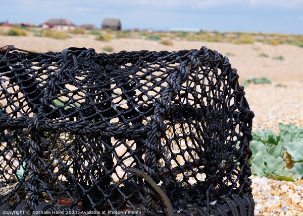 Dungeness Lobster Pot Picture Board by Nathalie Hales