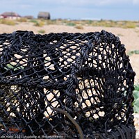 Buy canvas prints of Dungeness Lobster Pot by Nathalie Hales