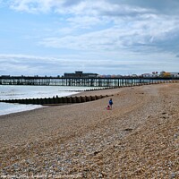 Buy canvas prints of Hastings Pier, East Sussex by Nathalie Hales
