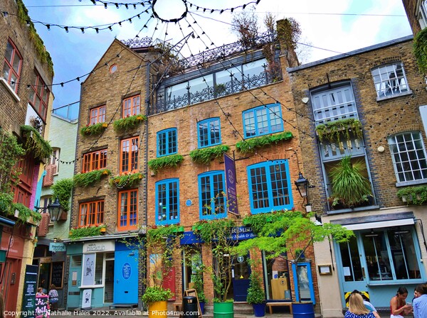Neal's Yard, Covent Garden London Picture Board by Nathalie Hales