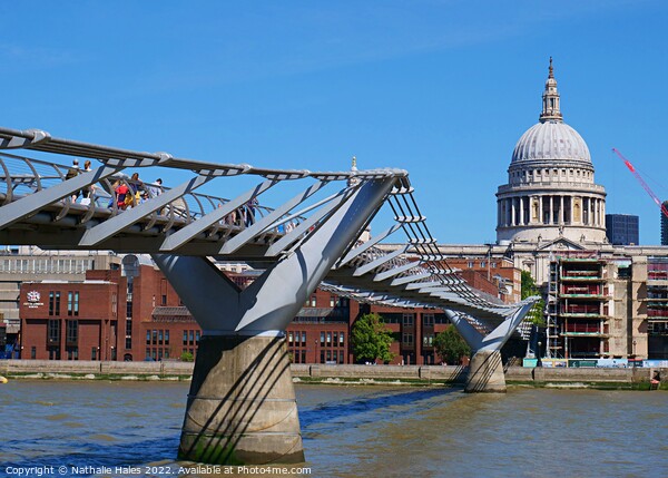 Millennium Bridge and St Paul's Cathedral London Picture Board by Nathalie Hales