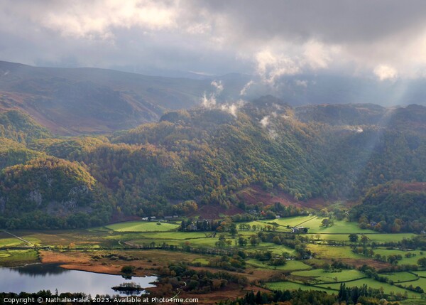 View over Derwent Water from Cat Bells Picture Board by Nathalie Hales