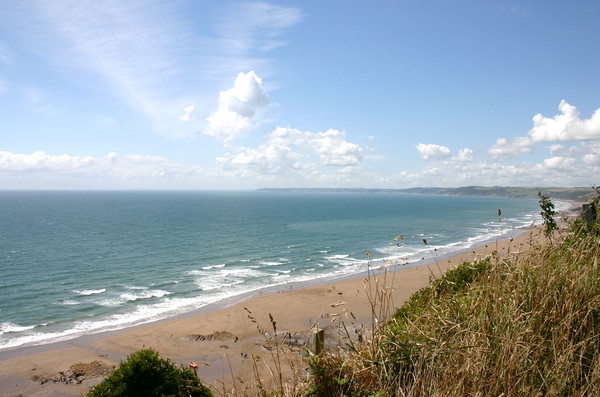 Whitsand Bay Picture Board by Nathalie Hales