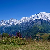 Buy canvas prints of Mont Blanc Panorama by Nathalie Hales