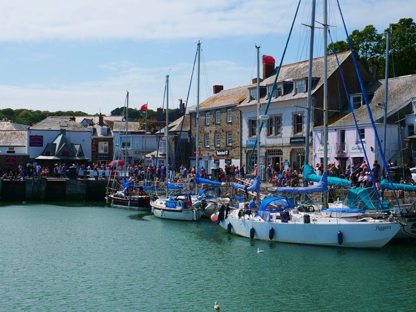 Padstow Harbour Picture Board by Nathalie Hales