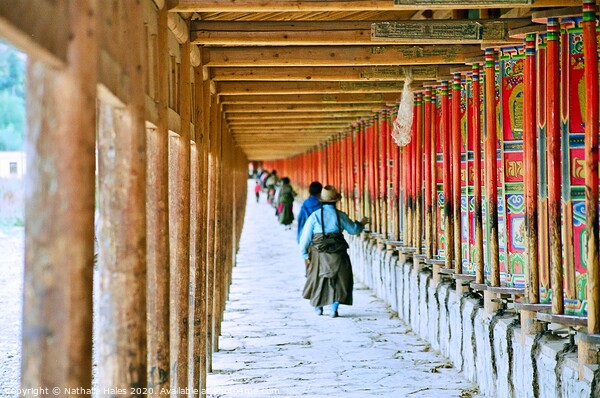 Pilgrimage to Labrang Monastery Picture Board by Nathalie Hales