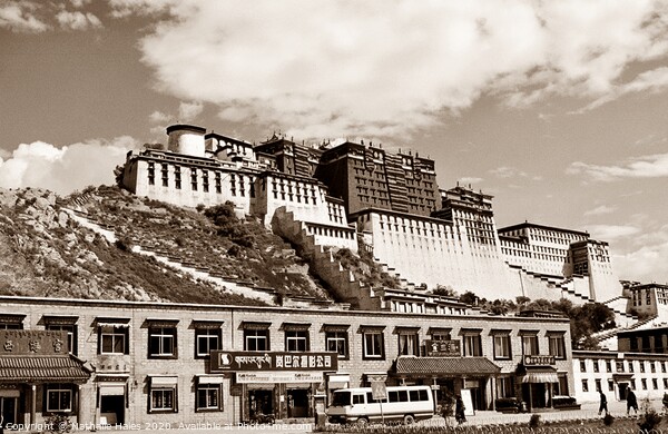 Potala Palace, Lhasa (2) Picture Board by Nathalie Hales