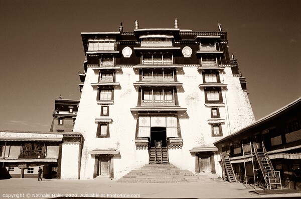 Potala Palace entrance, Lhasa Picture Board by Nathalie Hales
