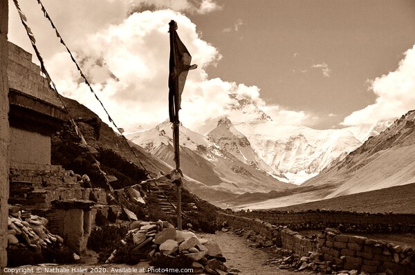 Mount Everest from the Rongbuk Monastery, Tibet Picture Board by Nathalie Hales