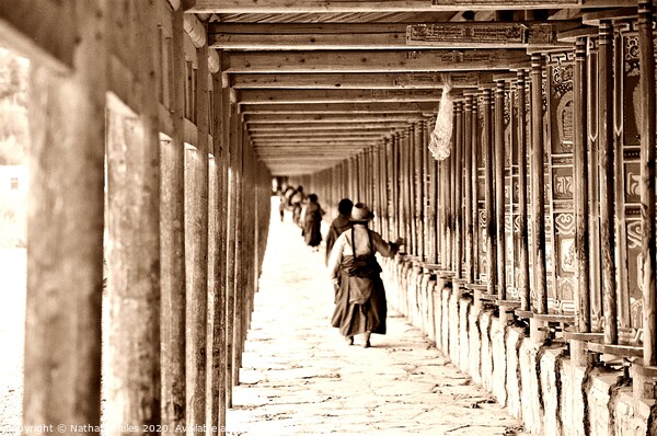 Pilgrim at Labrang Monastery - Sepia Version Picture Board by Nathalie Hales