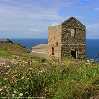 Buy canvas prints of Levant mine from the Coastal Path by Nathalie Hales