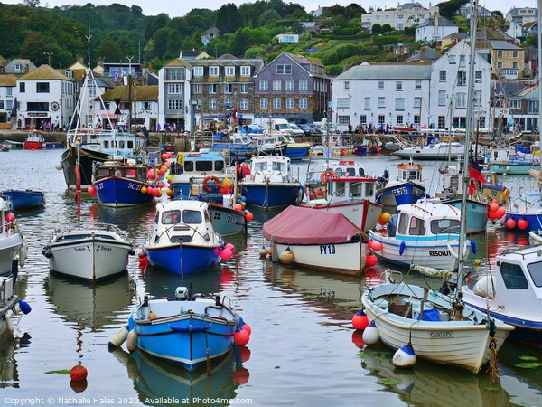 Mevagissey view from the harbour Picture Board by Nathalie Hales