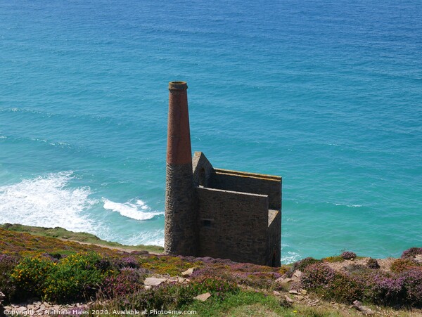 Wheal Coates from above Picture Board by Nathalie Hales