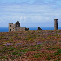Buy canvas prints of Cornish Tin Mine amidst the Heather by Nathalie Hales
