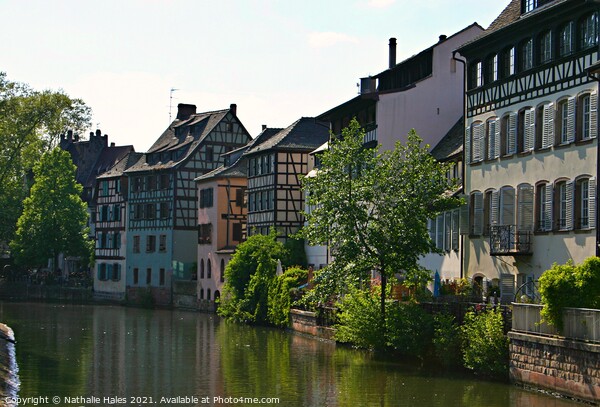 La Petite France, Strasbourg Picture Board by Nathalie Hales