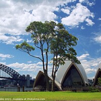 Buy canvas prints of Sydney Opera House and Harbour Bridge by Nathalie Hales