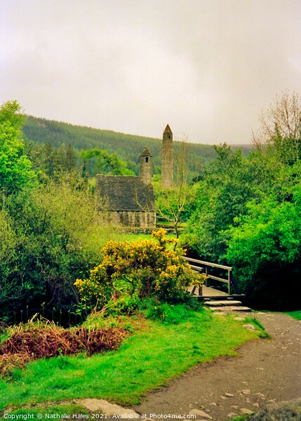 Glendalough, County Wicklow Picture Board by Nathalie Hales