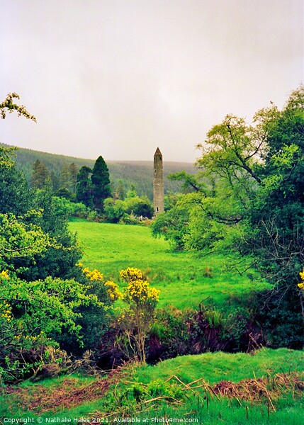 Round Tower, Glendalough Ireland Picture Board by Nathalie Hales
