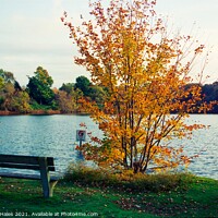 Buy canvas prints of Fall, New England by Nathalie Hales