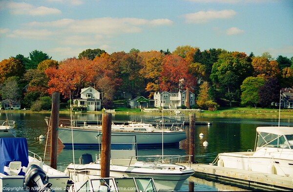 Mystic River, New England USA Picture Board by Nathalie Hales