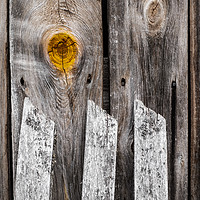 Buy canvas prints of The woodshed, the knot and the fence. Old. by Robert Pastryk