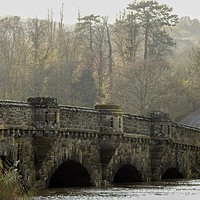 Buy canvas prints of Bridge in Amberley by Debbie Payne