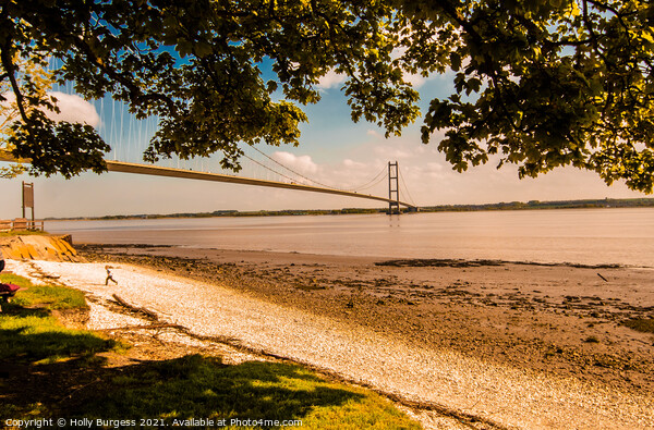 Humber bridge Hull Picture Board by Holly Burgess