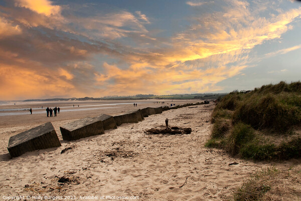 Alnmouth Northumberland at sunsetting  Picture Board by Holly Burgess