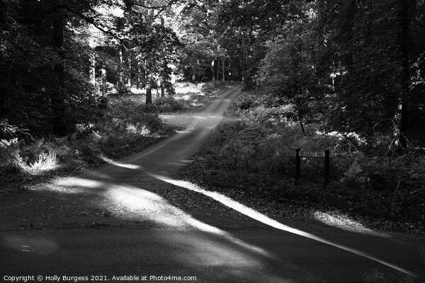 Symonds Yat village in Wye Valley converted to Grey scale  Picture Board by Holly Burgess