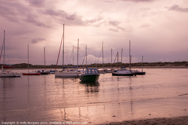 Evening Serenity: Beadnell Harbour's Fishing Fleet Picture Board by Holly Burgess