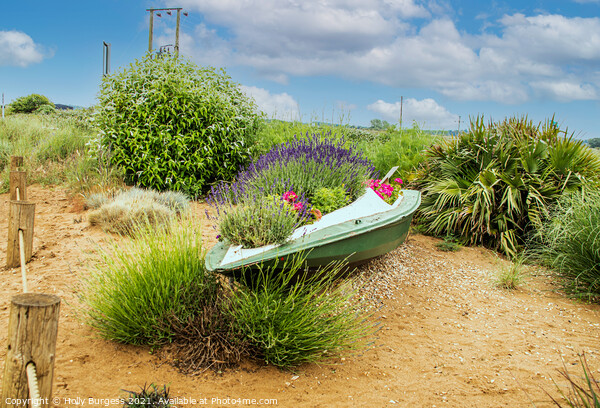 Landscape of a boat of flowers, in Norfolk  Picture Board by Holly Burgess