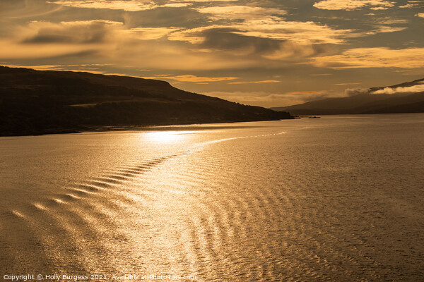 Sunsetting over the mountions, Sailing through the loch of Mull Scotland  Picture Board by Holly Burgess