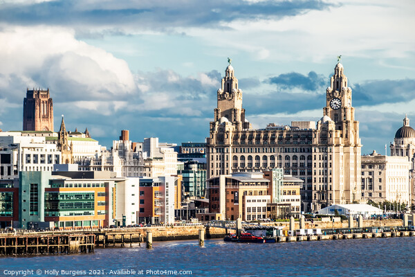 Liverpool's Iconic Liver Birds: A Beatles Legacy Picture Board by Holly Burgess