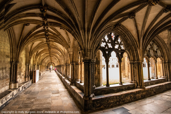 Norwich Cathedral's Unrivalled Cloisters Picture Board by Holly Burgess