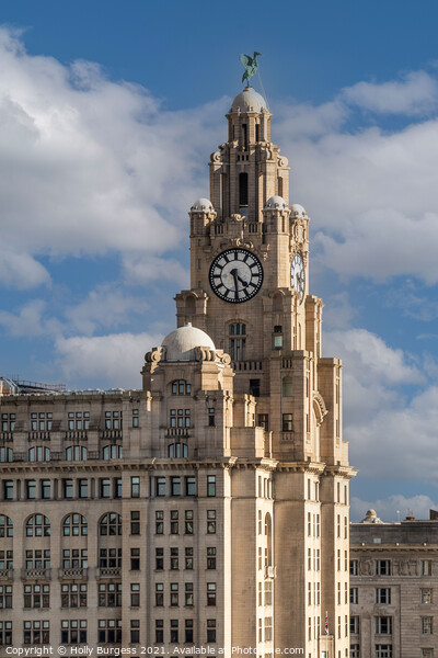 Iconic Liver Building: Liverpool's Waterfront Gem Picture Board by Holly Burgess