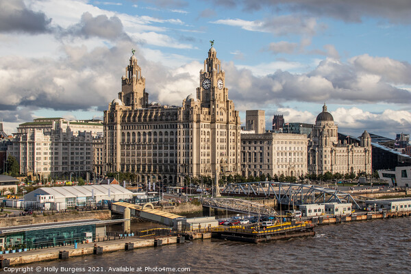 Liverpool's Iconic Skyline: The Liver Building Picture Board by Holly Burgess