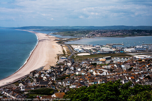 Enthralling Shingle Splendour: Chesil Beach Dorset Picture Board by Holly Burgess
