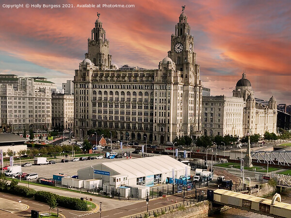 Liverpool's Iconic Royal Liver Building Picture Board by Holly Burgess