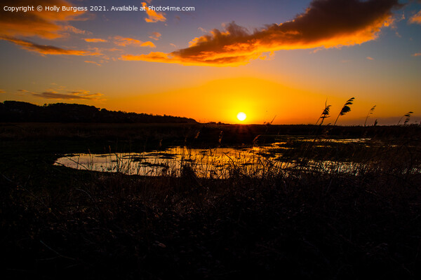 Sunsetting over the Marsh In France Picture Board by Holly Burgess